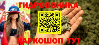 марихуана Аргун