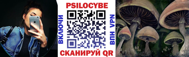 hydra вход  Балабаново  Псилоцибиновые грибы Psilocybe 